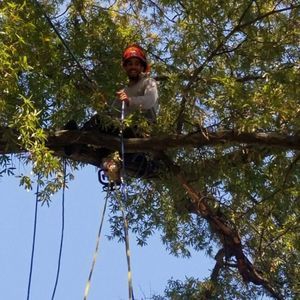 Meet your Posher, Joey